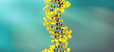 螺旋生物DNA分子链