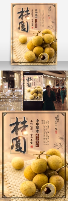 传统美食桂圆龙眼中华美食中国风传统宣传海报