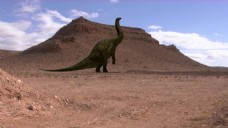SPA沙龙恐龙沙漠视频素材