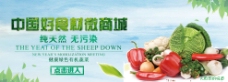 绿色蔬菜农产品网页banner海报