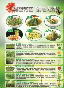 绿色蔬菜芽苗菜宣传单