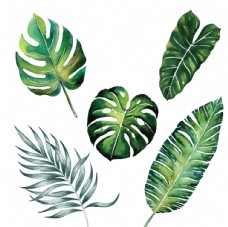绿色叶子手绘热带植物花卉图案矢量素