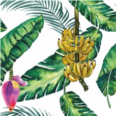 黄色背景手绘热带植物花卉图案矢量素