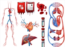 SPA插图血液类型和呼吸系统插图