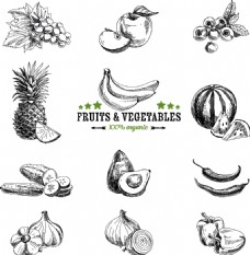 蔬菜水果手绘水果和蔬菜插画