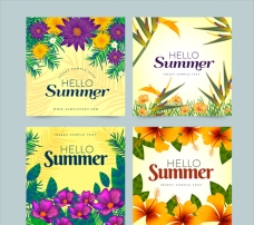 漂亮的鲜花夏日卡片