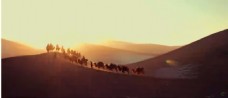震撼壮观太阳光芒四射光晕沙漠骆驼商队高清实拍