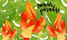 欧式花纹背景水彩夏日热带花卉的背景