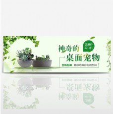 绿色小清新植物盆栽多肉神奇的桌面宠物电商海报banner