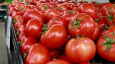 食品市场-西红柿