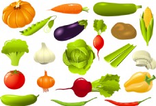 蔬菜水果矢量水果蔬菜素材