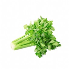 新鲜蔬菜新鲜芹菜蔬菜元素