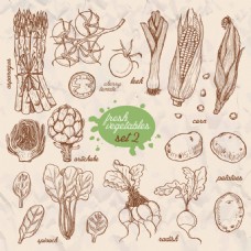 复古手绘蔬菜元素插画