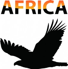 黑鹰非洲矢量海报