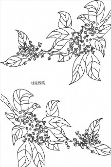 矢量桂花