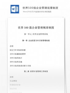 世界500强企业管理规章制度工作范文文档