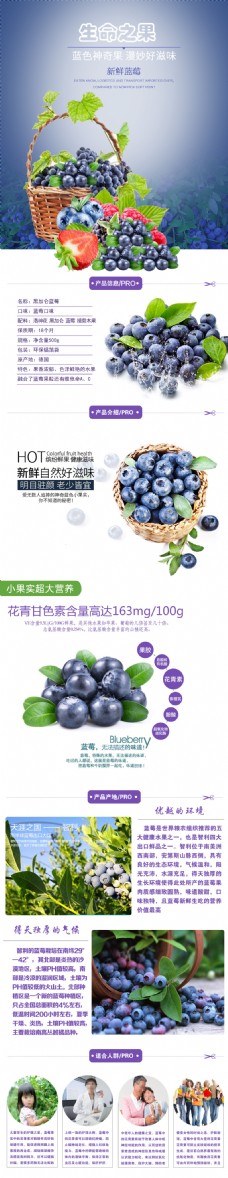 蓝莓淘宝水果内页设计