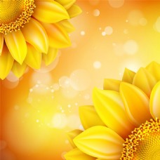 迷幻背景向日葵花朵金色背景纹理素材