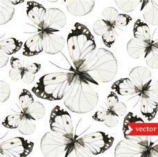 蝴蝶标本图案无缝背景图