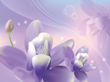 梦幻画淡紫色梦幻花朵装饰画素材