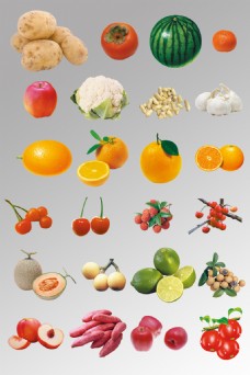 水果果实一组写实水果蔬菜分层图片