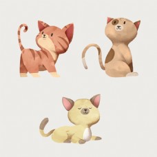 猫咪形态插图