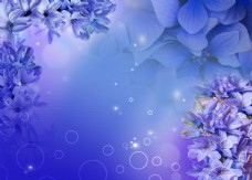 梦幻蓝色时尚花朵背景墙