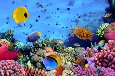 底图海底世界3D立体背景墙