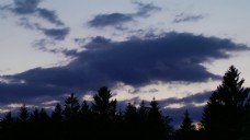 夜晚天空的云朵和树木的间隔