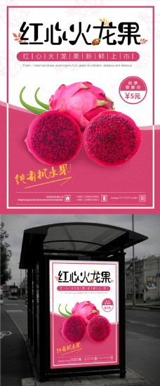 清新红心火龙果水果水果店促销海报