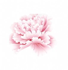 秋日粉色牡丹花节日元素
