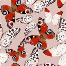 红白蝴蝶矢量背景素材