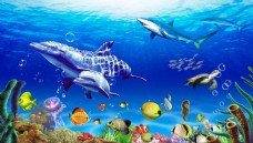 水底世界海底世界海豚戏水3D立体背景墙画