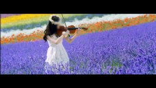 美女小提琴风景人物素材