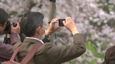 游客在智能手机上拍照