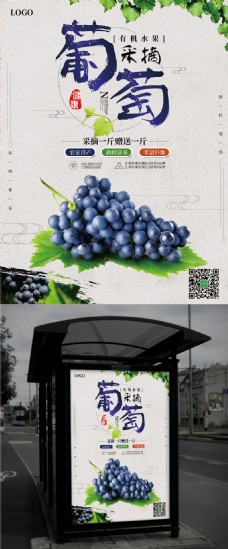 浅灰色葡萄水果美食海报
