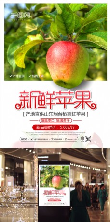 清新简约产地直供新鲜苹果促销宣传海报