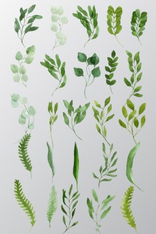 手绘水彩树叶设计素材