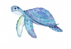 创意海龟水彩矢量素材