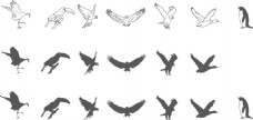 鸟类手绘风野生动物轮廓剪影矢量png