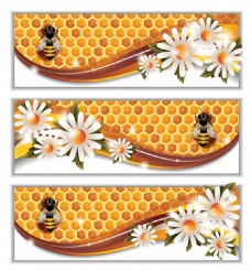 白色花白色小花蜂巢蜂蜜矢量设计元素