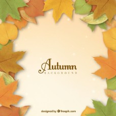 秋天背景可爱的秋天的背景五颜六色的树叶