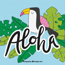平面设计背景ALOHA巨嘴鸟