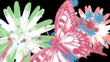 花朵蝴蝶混合粗糙艺术高清视频素材