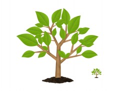 绿树绿色小树苗icon图标