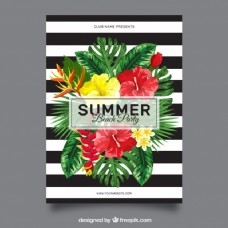 White和黑色条纹的小册子和夏方花