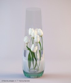 白色艺术花朵3d模型