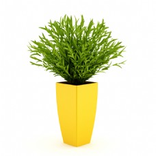 绿色盆栽植物3d模型