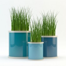 精美绿色植物小盆栽3d模型
