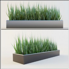 精美绿色植物3d模型